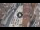 Webcam in Verona, 0.6 mi away