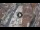 Webcam in Verona, 0.3 mi away