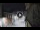 Webcam in San Cristóbal de La Laguna (Tenerife), 9.8 mi away