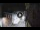 Webcam in San Cristóbal de La Laguna (Tenerife), 2.9 mi away