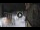 Webcam in San Cristóbal de La Laguna (Tenerife), 2.9 mi away