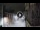 Webcam in San Cristóbal de La Laguna (Tenerife), 23.1 km