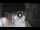 Webcam in San Cristóbal de La Laguna (Tenerife), 2.9 mi away