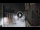 Webcam in San Cristóbal de La Laguna (Tenerife), 23.9 km