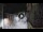 Webcam in San Cristóbal de La Laguna (Tenerife), 15.3 km