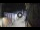Webcam in San Cristóbal de La Laguna (Tenerife), 2.9 mi away