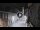 Webcam in San Cristóbal de La Laguna (Tenerife), 2.7 mi away