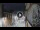 Webcam in San Cristóbal de La Laguna (Tenerife), 18.7 km