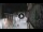 Webcam in San Cristóbal de La Laguna (Teneriffa), 18.7 km