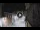 Webcam in San Cristóbal de La Laguna (Tenerife), 9 mi away