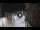 Webcam in San Cristóbal de La Laguna (Tenerife), 2.9 mi away