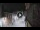 Webcam in San Cristóbal de La Laguna (Teneriffa), 7.8 km entfernt