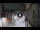Webcam in San Cristóbal de La Laguna (Teneriffa), 23.4 km entfernt