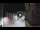 Webcam in San Cristóbal de La Laguna (Teneriffa), 23.1 km entfernt