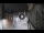 Webcam in San Cristóbal de La Laguna (Tenerife), 2.9 mi away