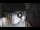 Webcam in San Cristóbal de La Laguna (Ténérife), 18.7 km