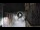 Webcam in San Cristóbal de La Laguna (Teneriffa), 16.1 km