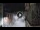 Webcam in San Cristóbal de La Laguna (Tenerife), 16.1 km