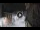 Webcam in San Cristóbal de La Laguna (Tenerife), 2.9 mi away