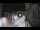 Webcam in San Cristóbal de La Laguna (Tenerife), 7.2 mi away