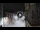 Webcam in San Cristóbal de La Laguna (Tenerife), 8.9 mi away