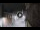 Webcam in San Cristóbal de La Laguna (Tenerife), 6.2 mi away