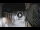 Webcam in San Cristóbal de La Laguna (Tenerife), 2.9 mi away