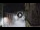 Webcam in San Cristóbal de La Laguna (Tenerife), 9 mi away
