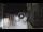 Webcam in San Cristóbal de La Laguna (Teneriffa), 20 km entfernt