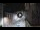 Webcam in San Cristóbal de La Laguna (Teneriffa), 7.5 km entfernt
