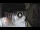 Webcam in San Cristóbal de La Laguna (Teneriffa), 8.6 km entfernt