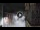 Webcam in San Cristóbal de La Laguna (Tenerife), 4.5 mi away