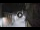 Webcam in San Cristóbal de La Laguna (Tenerife), 2.9 mi away