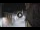 Webcam in San Cristóbal de La Laguna (Teneriffa), 7.1 km entfernt