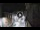 Webcam in San Cristóbal de La Laguna (Tenerife), 2.9 mi away