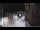 Webcam in San Cristóbal de La Laguna (Teneriffa), 7.5 km