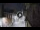 Webcam in San Cristóbal de La Laguna (Teneriffa), 15.9 km entfernt
