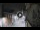 Webcam in San Cristóbal de La Laguna (Tenerife), 2.9 mi away
