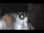 Webcam in San Cristóbal de La Laguna (Tenerife), 2.9 mi away
