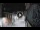Webcam in San Cristóbal de La Laguna (Tenerife), 24.1 km