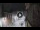 Webcam in San Cristóbal de La Laguna (Tenerife), 2.9 mi away