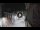 Webcam in San Cristóbal de La Laguna (Teneriffa), 7.4 km entfernt