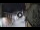Webcam in San Cristóbal de La Laguna (Tenerife), 2.9 mi away