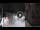 Webcam in San Cristóbal de La Laguna (Teneriffa), 7.8 km