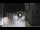 Webcam in San Cristóbal de La Laguna (Teneriffa), 7.1 km entfernt