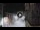 Webcam in San Cristóbal de La Laguna (Tenerife), 7.1 km
