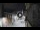 Webcam in San Cristóbal de La Laguna (Tenerife), 13.3 km