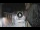 Webcam in San Cristóbal de La Laguna (Tenerife), 2.9 mi away