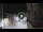 Webcam in San Cristóbal de La Laguna (Tenerife), 7.2 mi away