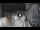 Webcam in San Cristóbal de La Laguna (Teneriffa), 7.5 km entfernt